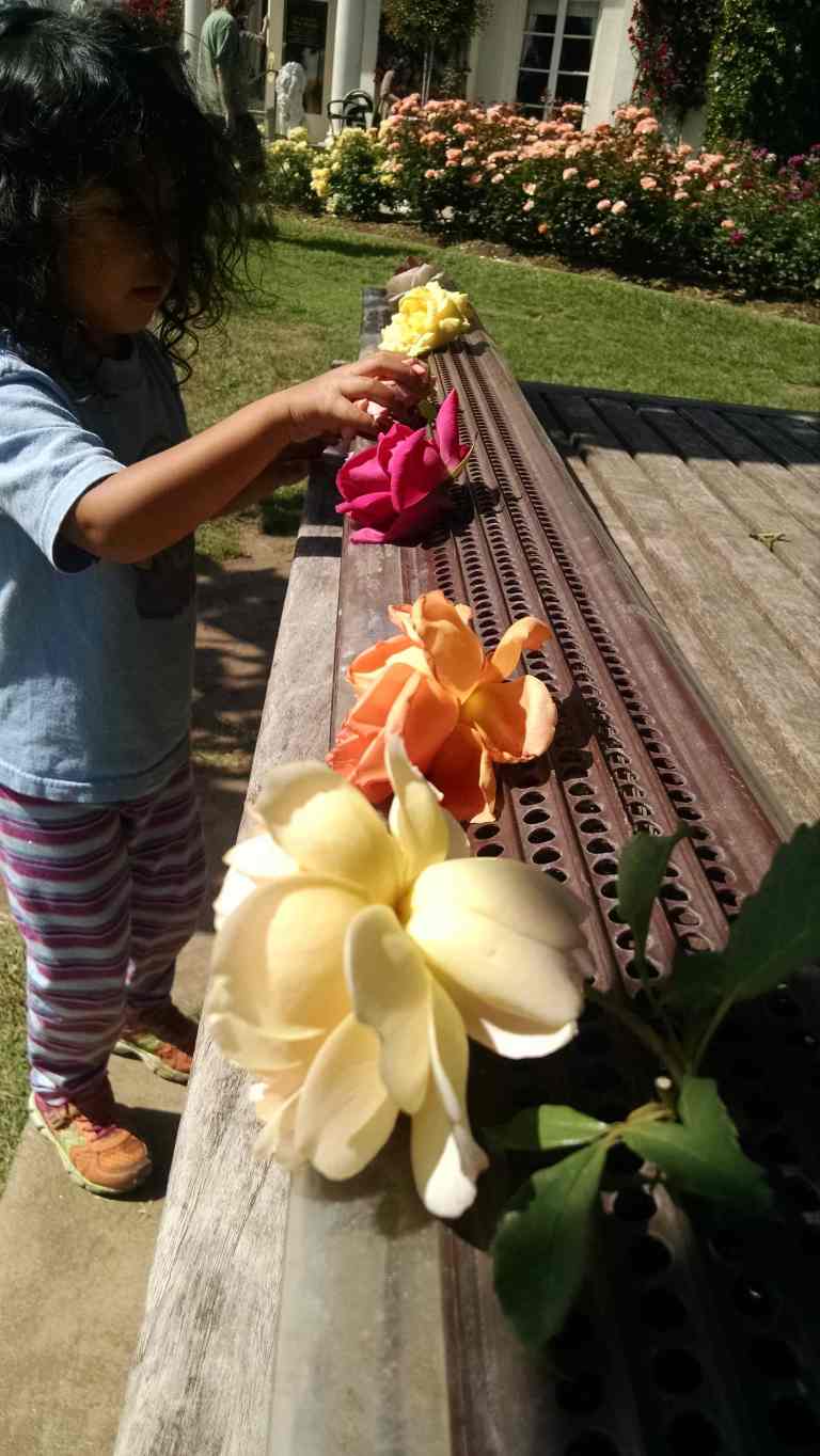 11_2015-04-02 15.01.01_lr