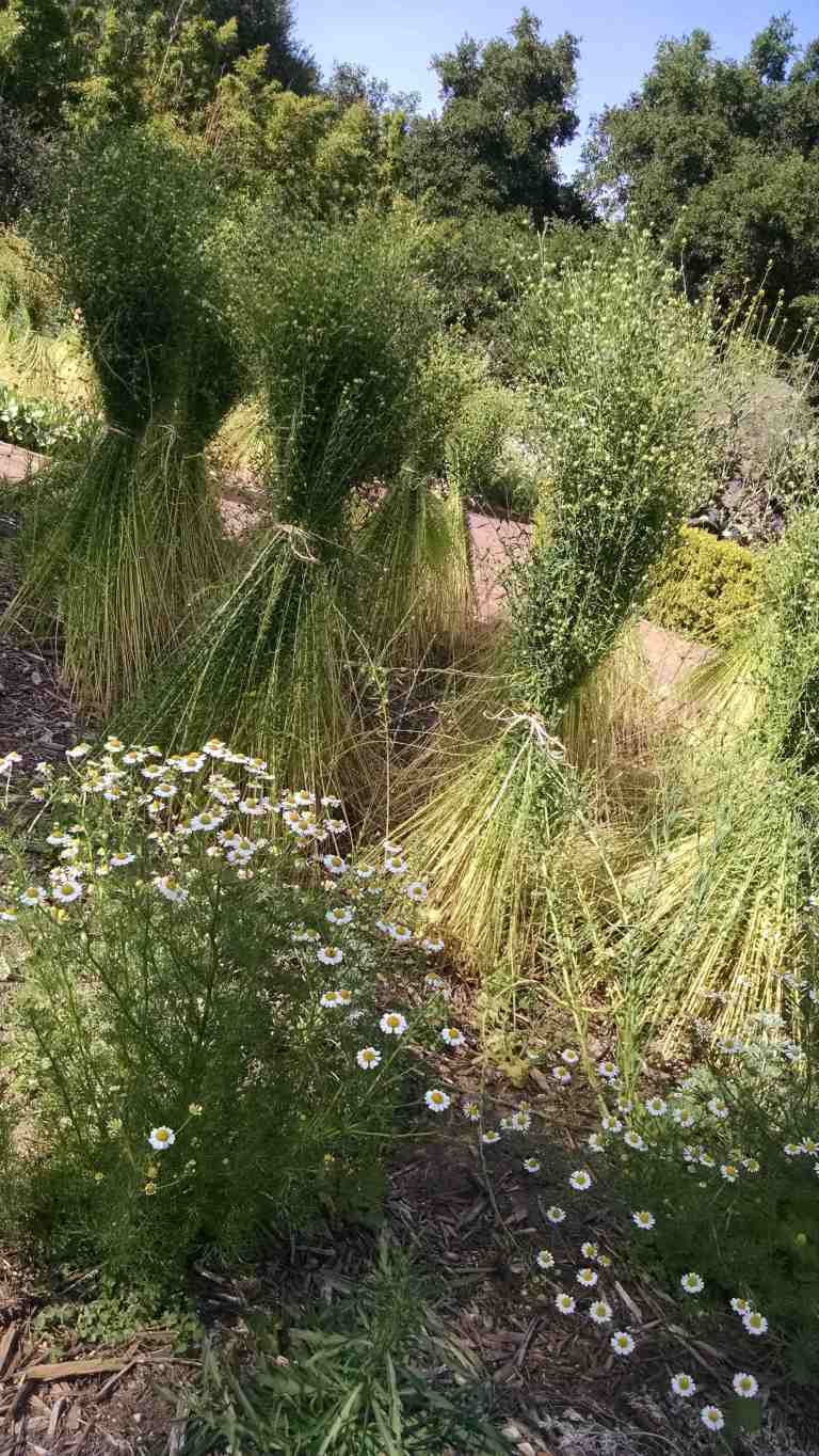 12_2015-04-02 16.01.33_lr