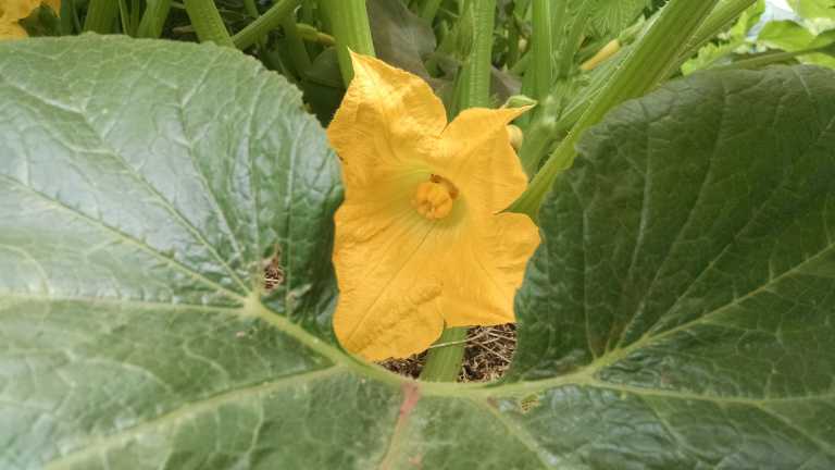 06_2015-05-12 10.52.42_lr