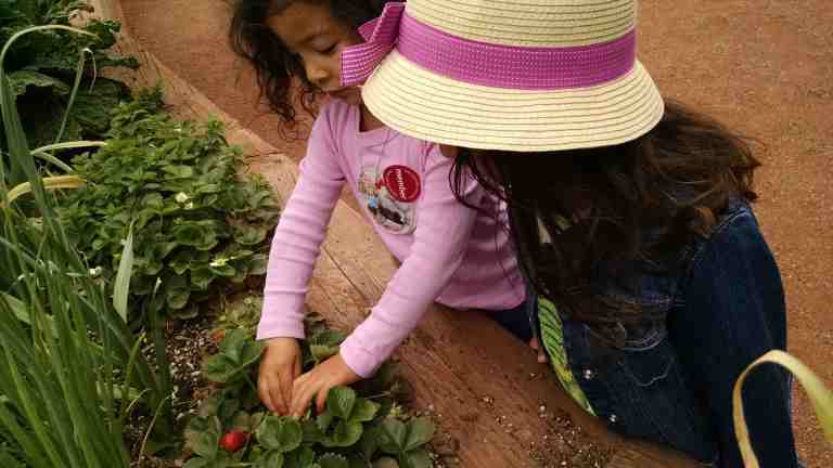 07_2015-05-12 10.55.53_lr