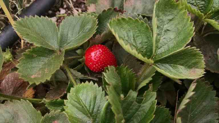 08_2015-05-12 10.54.49_lr