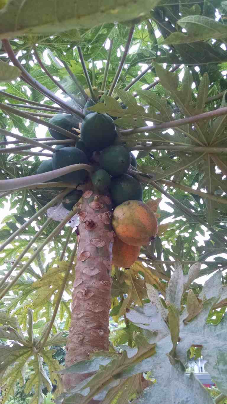 09_2015-05-12 10.56.36_lr