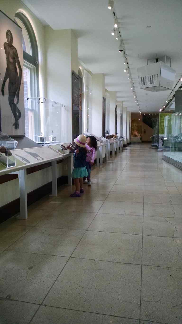 11_2015-05-12 11.09.05_lr