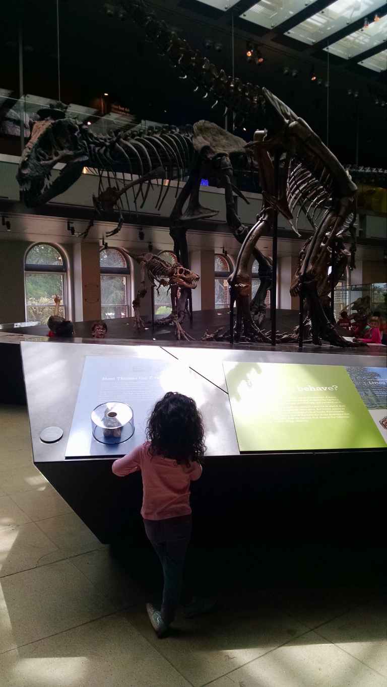 12_2015-05-12 11.13.02_lr