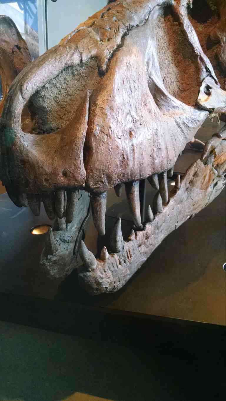 13_2015-05-12 11.17.17_lr