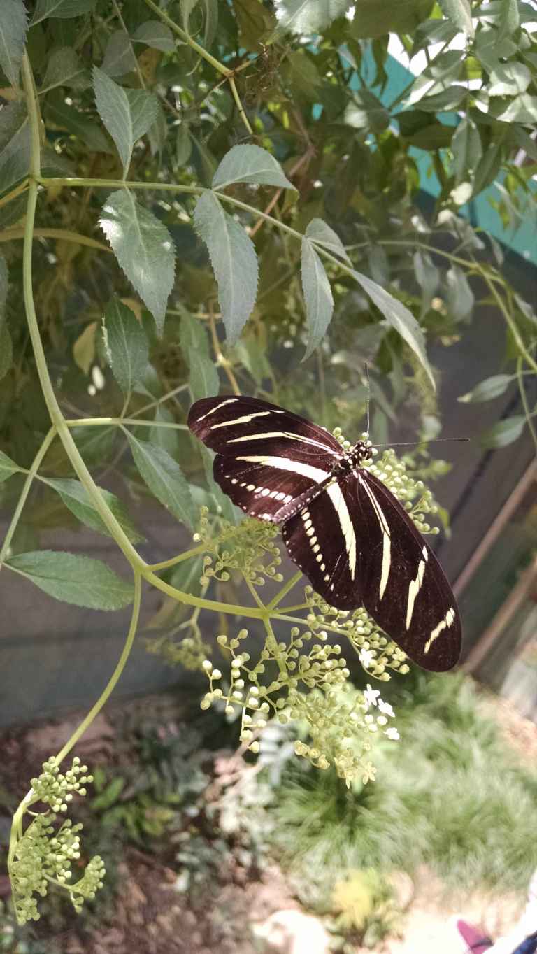 15_2015-05-12 11.35.03_lr