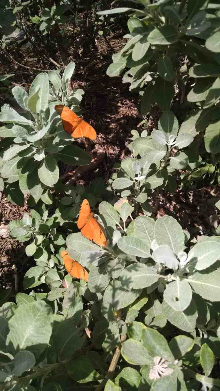 16_2015-05-12 11.36.22_lr