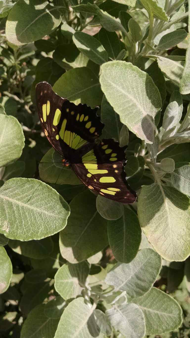 17_2015-05-12 11.39.13_lr