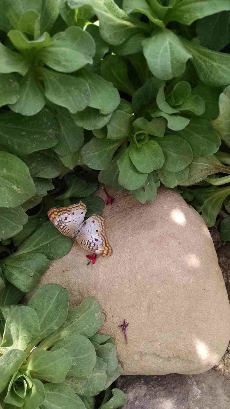 18_2015-05-12 11.39.31_lr