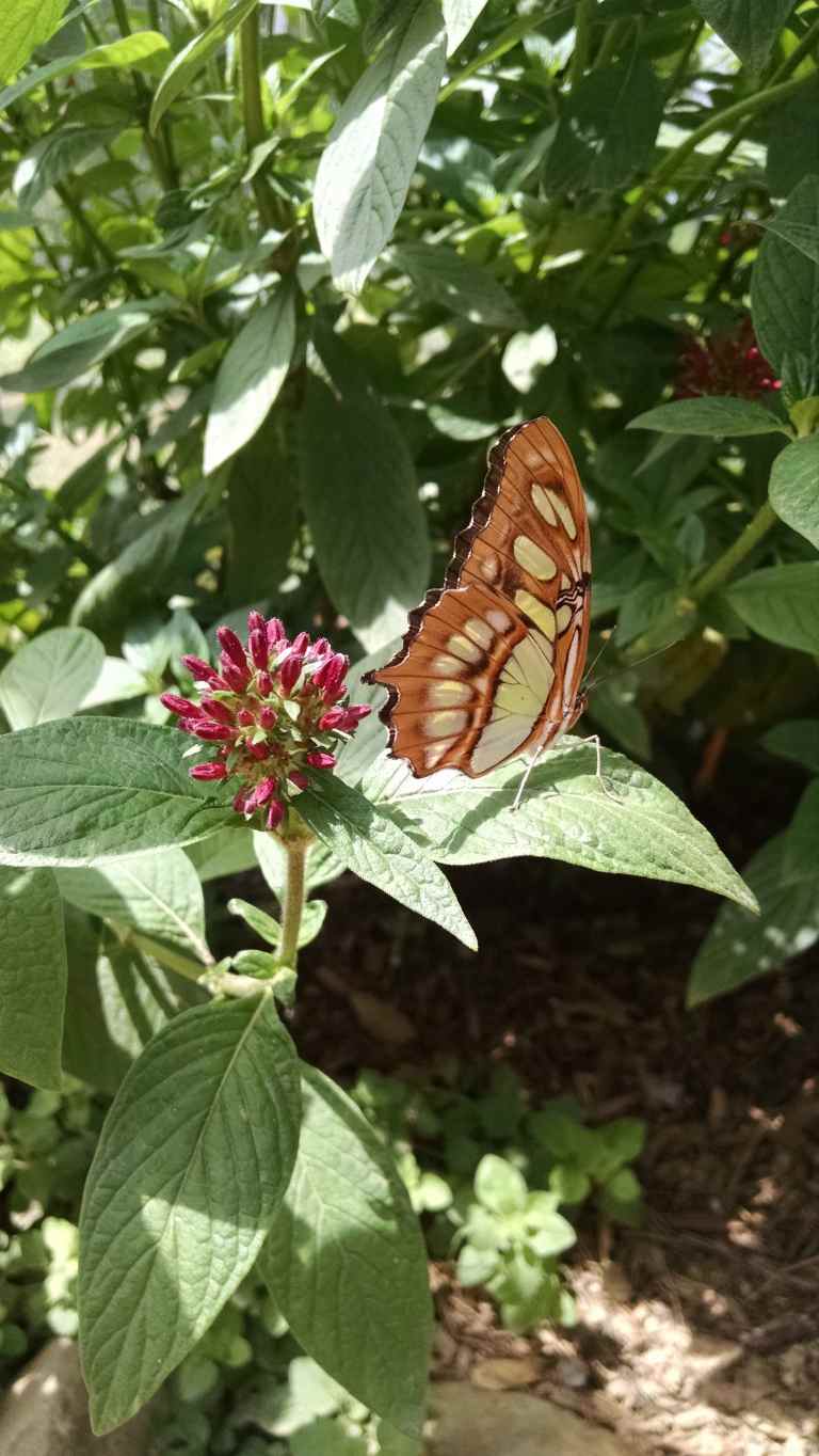 19_2015-05-12 11.40.25_lr