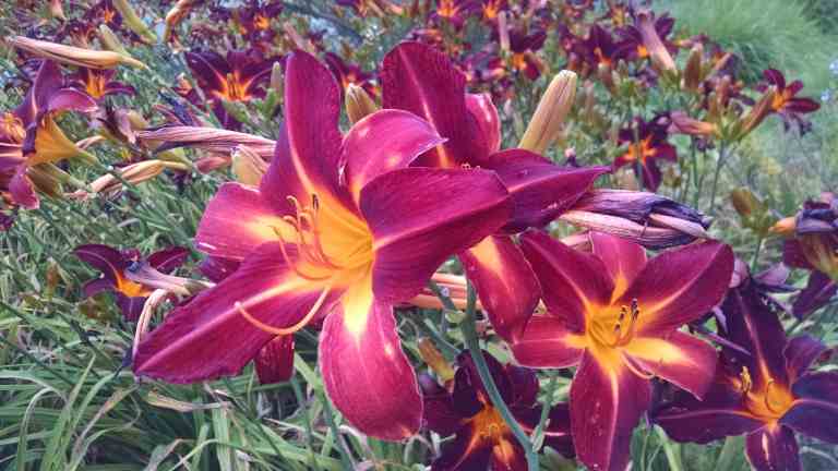 01_2015-06-04 14.44.33_lr