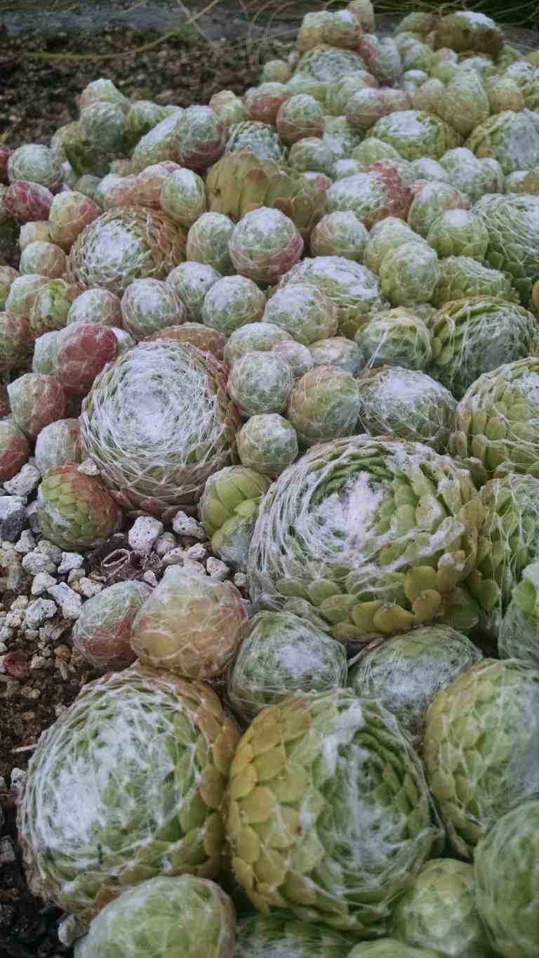 04_2015-06-04 11.56.13_lr