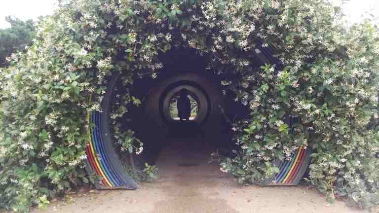 05_2015-06-04 12.05.43_lr