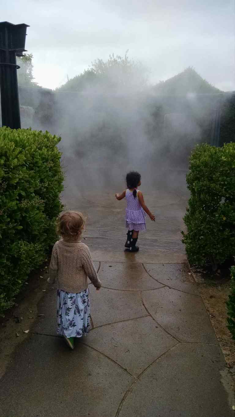 06_2015-06-04 12.29.01_lr