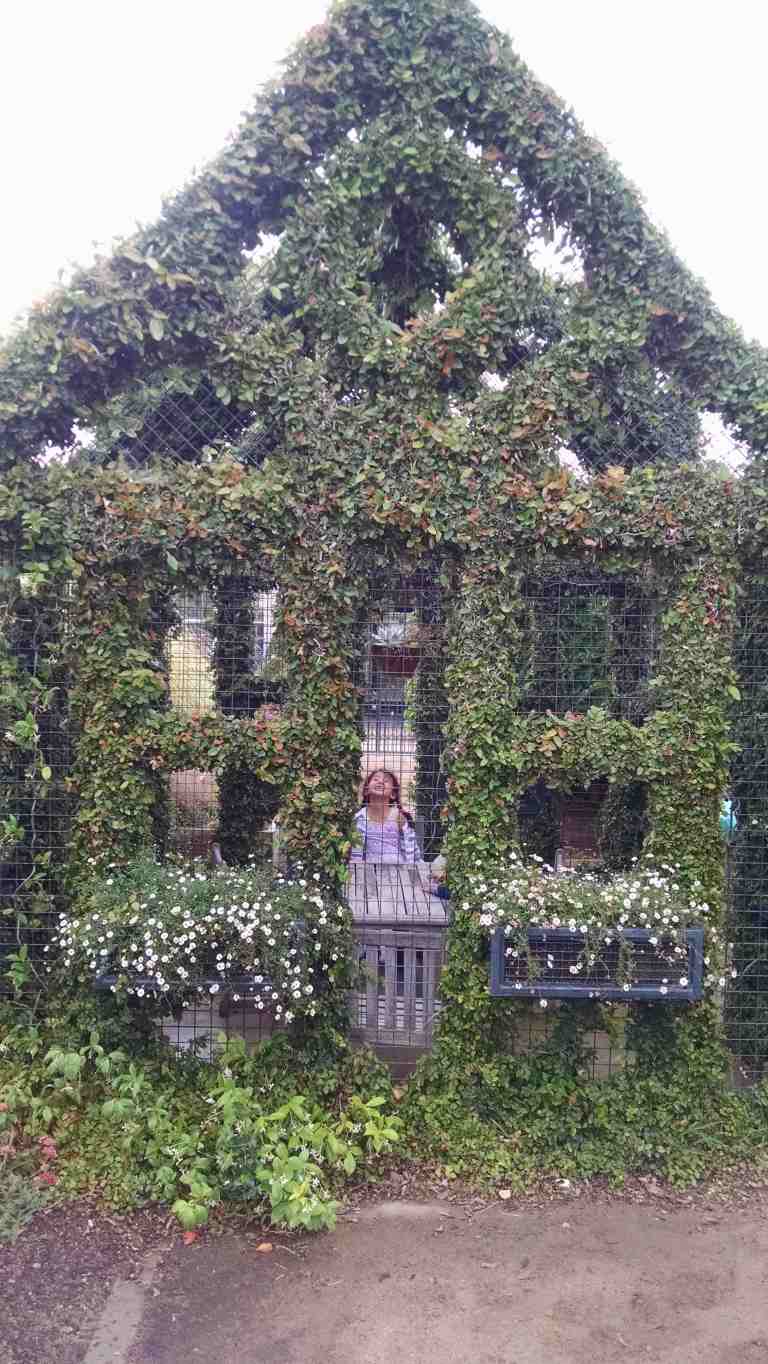 07_2015-06-04 12.14.44_lr