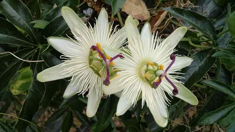 09_2015-06-04 14.56.35_lr