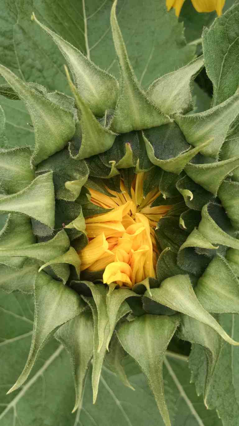 10_2015-06-04 12.20.33_lr