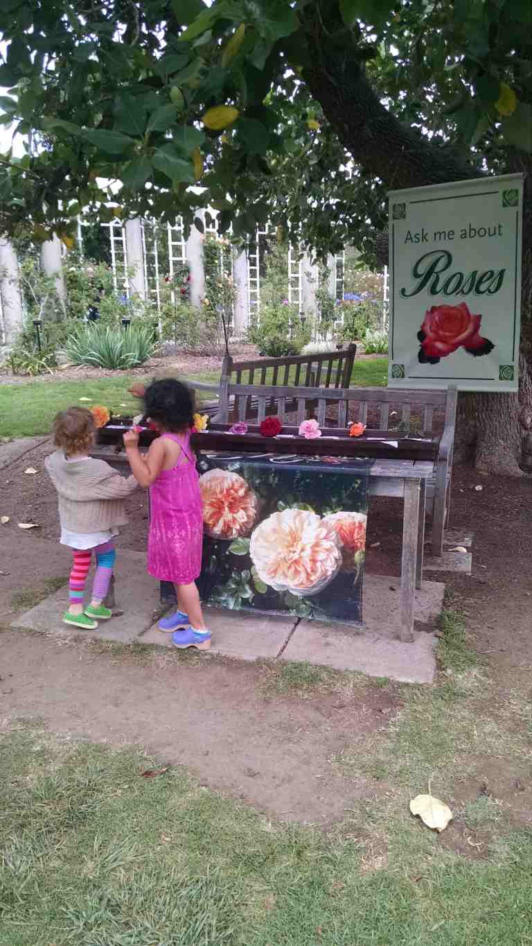 12_2015-06-04 14.22.23_lr