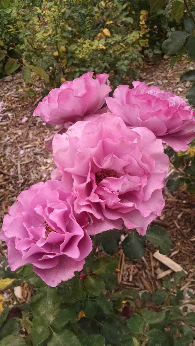 13_2015-06-04 14.24.36_lr