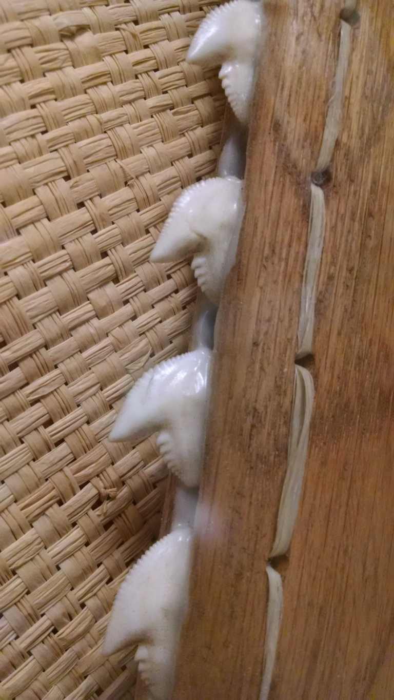 13_2015-06-25 13.31.35_lr