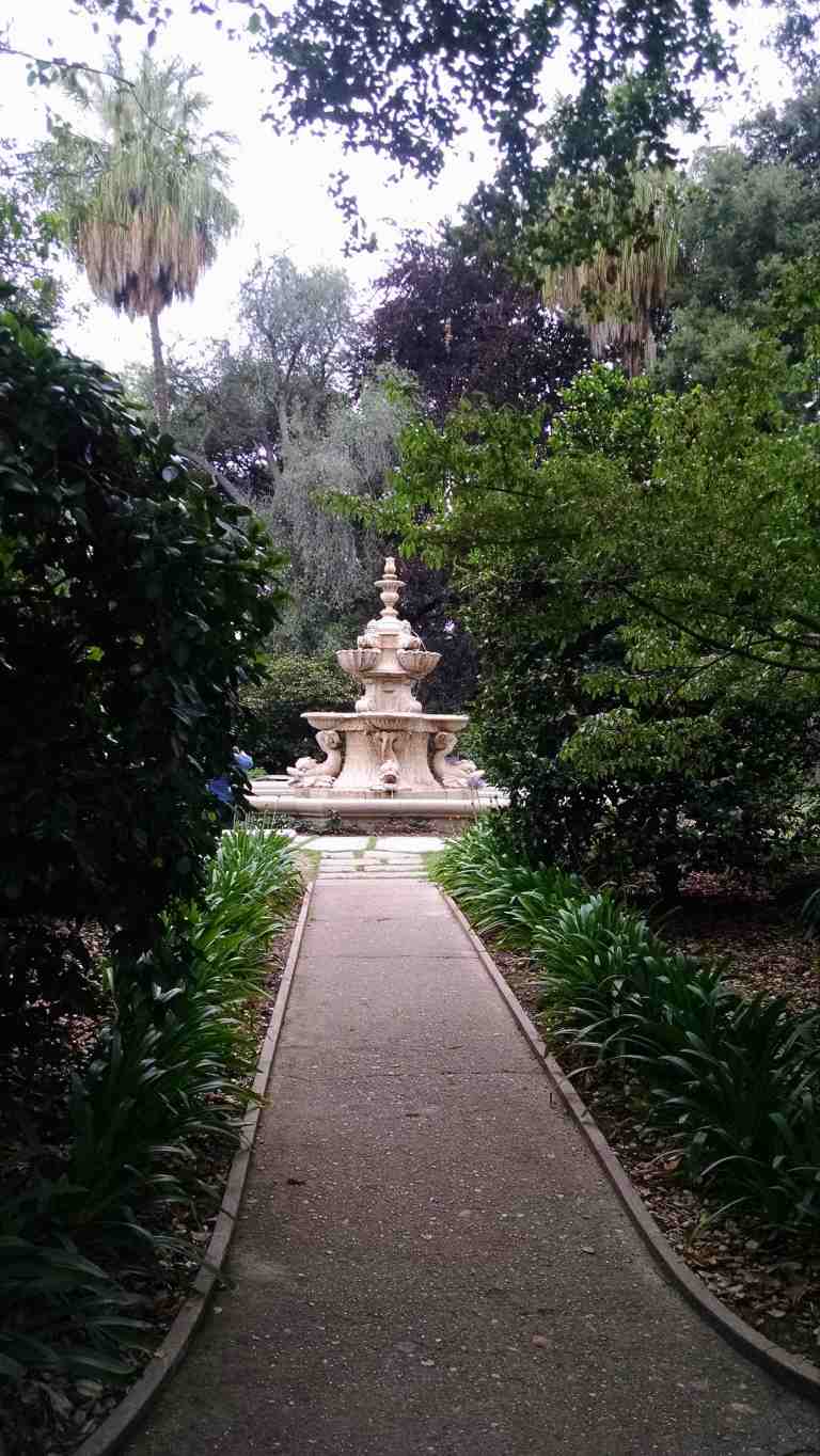 16_2015-06-04 14.54.30_lr