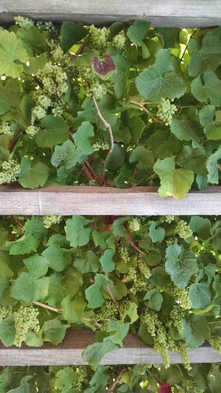 03_2015-07-10 14.43.46_lr