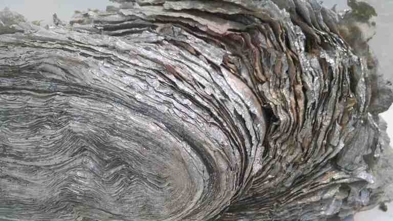 05_2015-08-11 13.26.57_lr