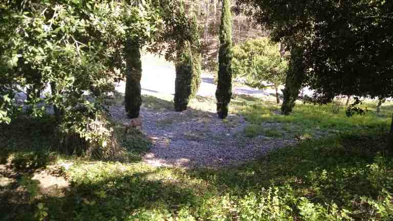 09_2015-07-10 16.56.57_lr