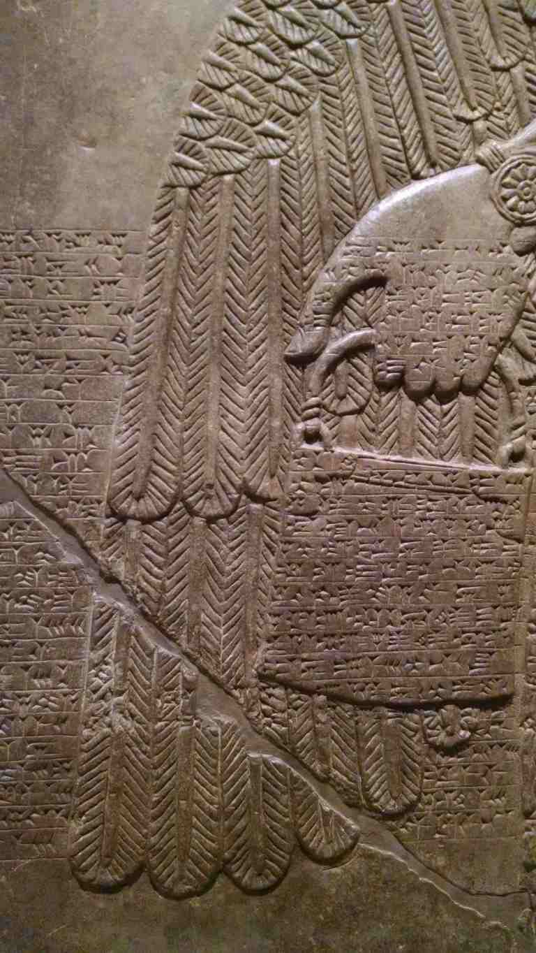 11_2015-07-30 13.32.16_lr