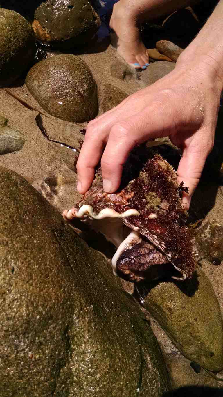 03_2015-08-14 13.49.32_lr