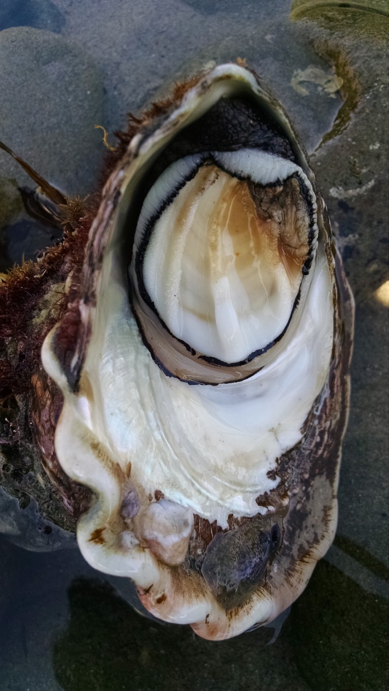 04_2015-08-14 14.02.13_lr