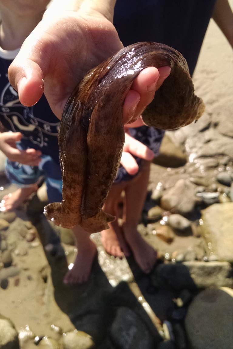 05_2015-08-14 16.06.37crop_lr