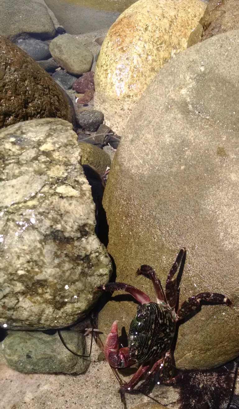 06_2015-08-14 14.00.38_crop_lr