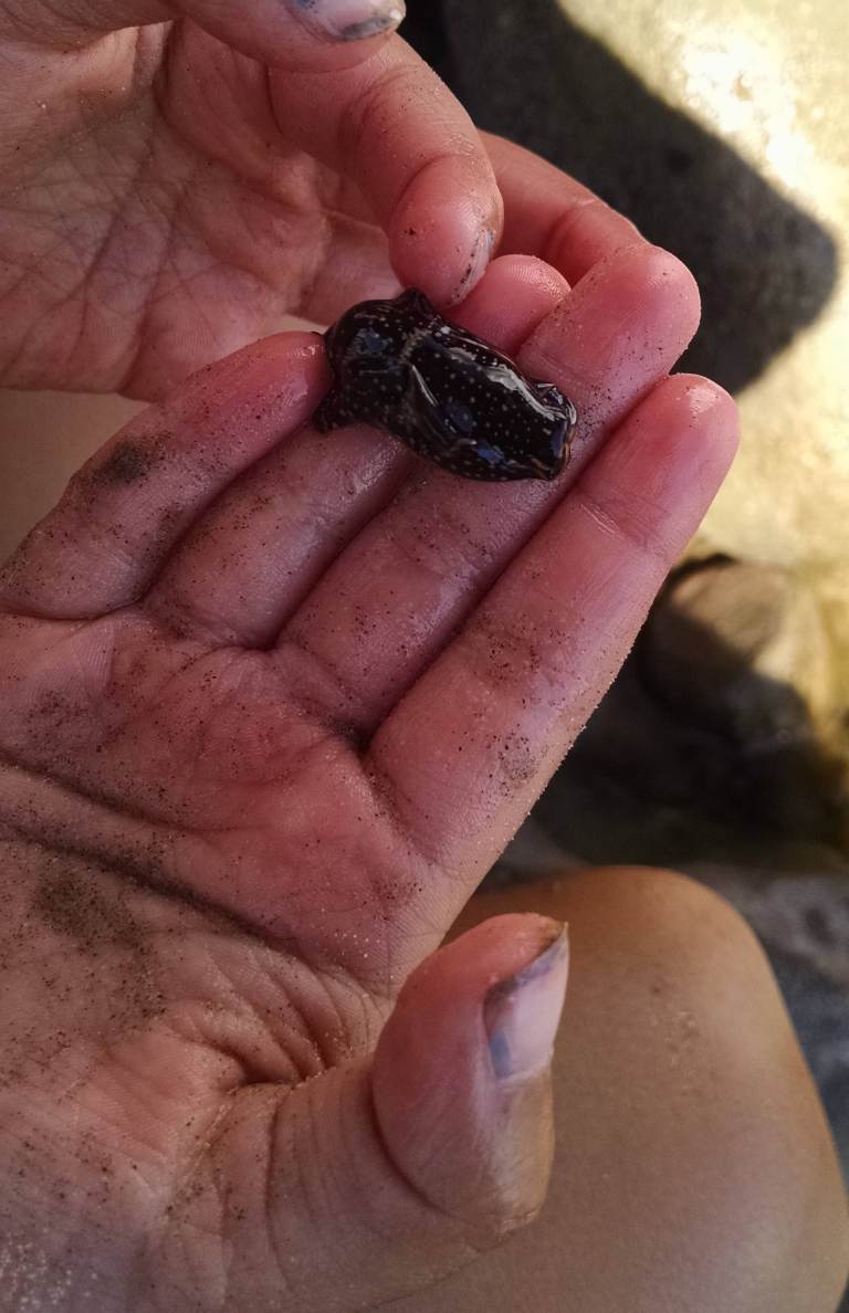 07_2015-08-14 16.00.19_lr