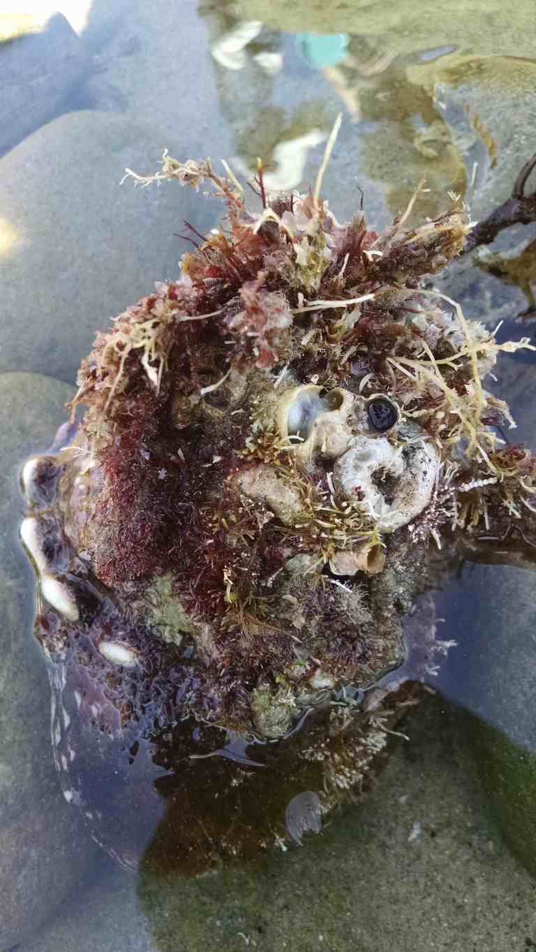 08_2015-08-14 14.02.03_lr