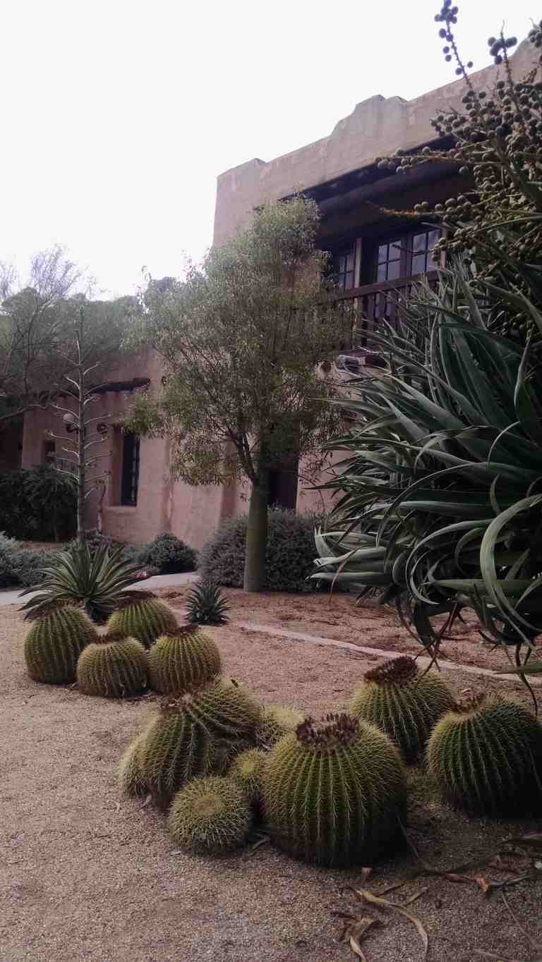 01_2015-10-18 12.07.35_lp.jpg