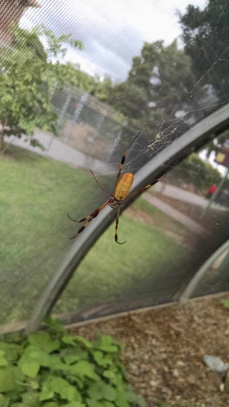 02_2015-10-04 14.40.42_lr