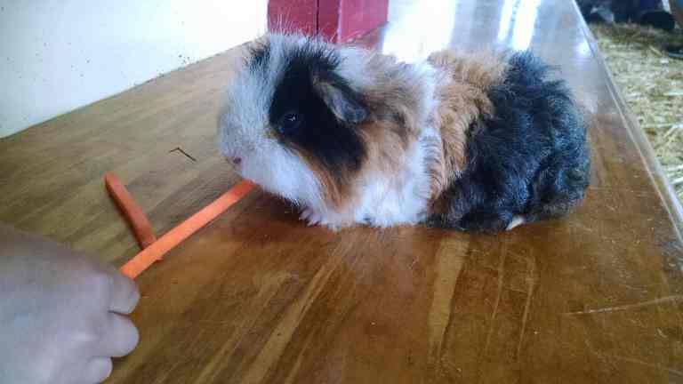 02_2015-10-17 12.09.24_lr