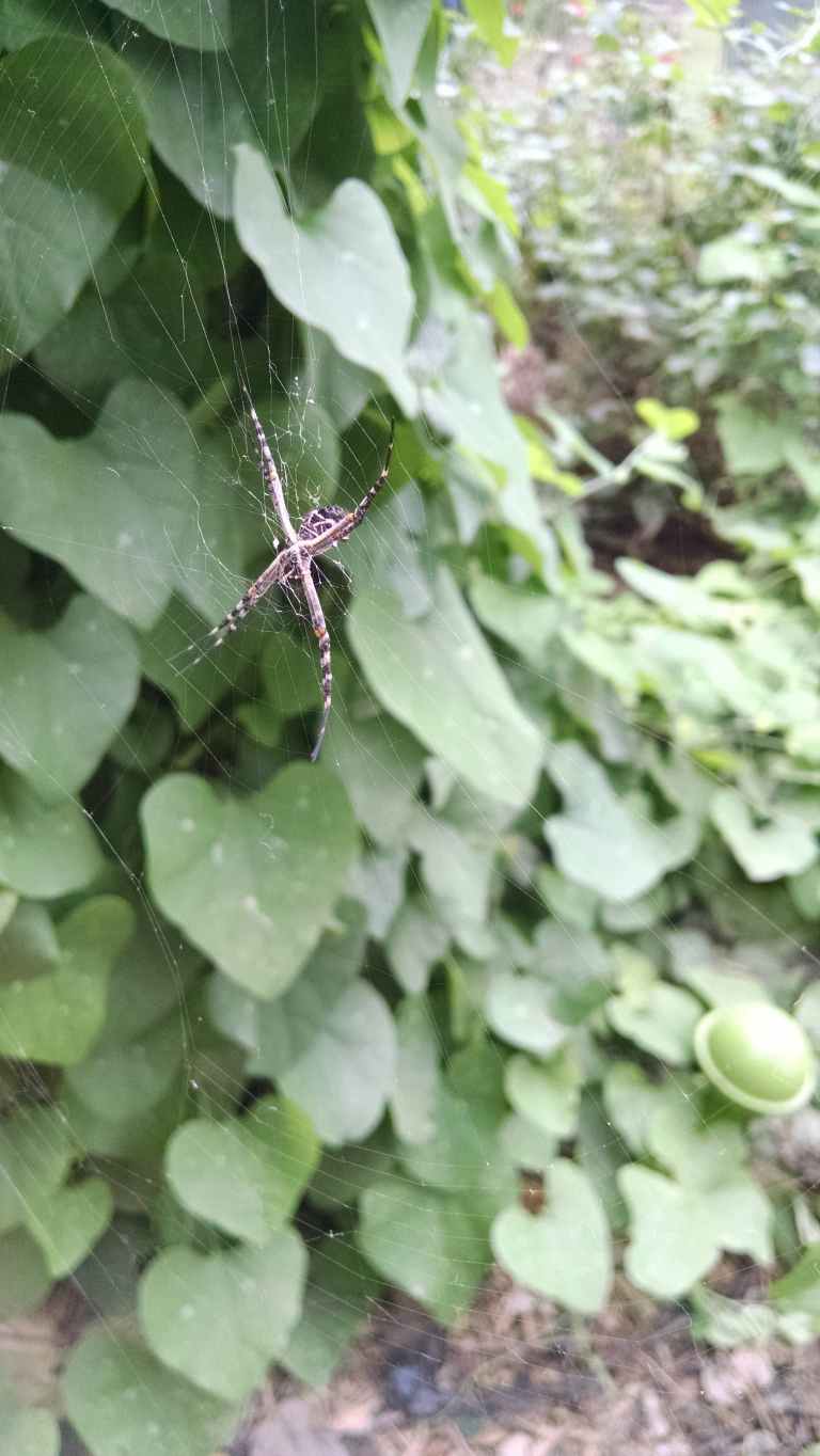 03_2015-10-04 14.41.53_lr