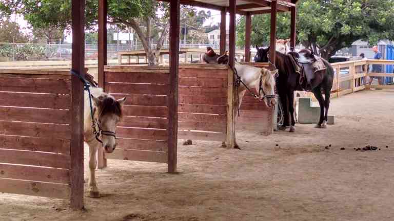 03_2015-10-17 12.44.02_lr