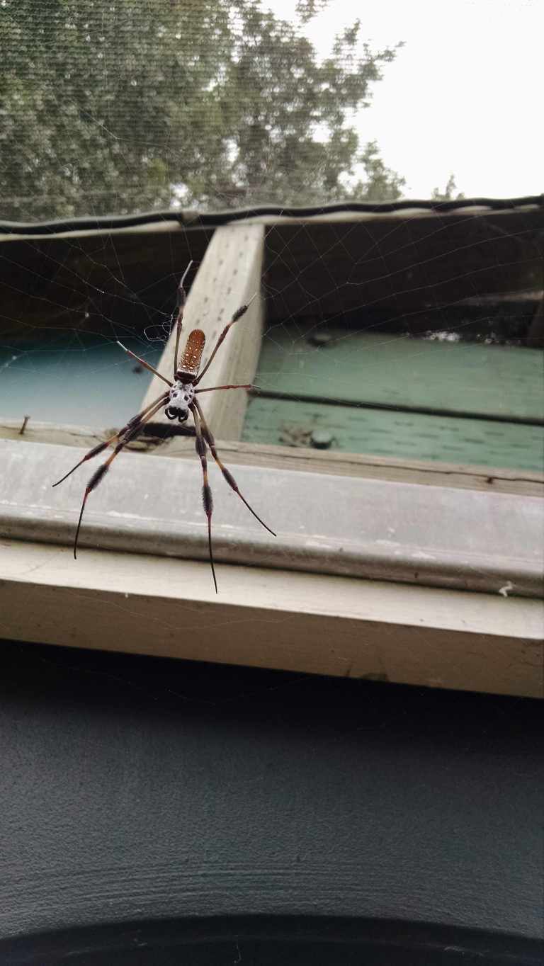 04_2015-10-04 14.42.23_lr