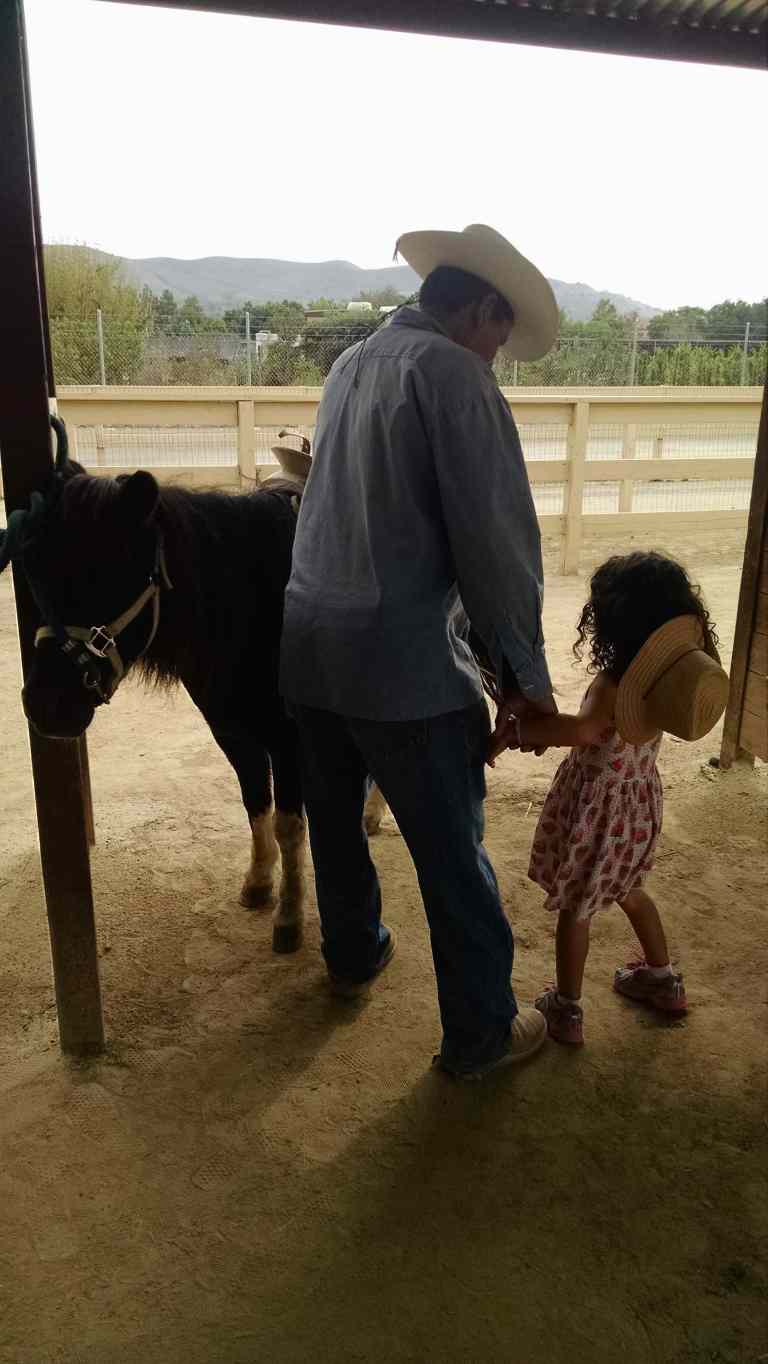 04_2015-10-17 12.51.10_lr