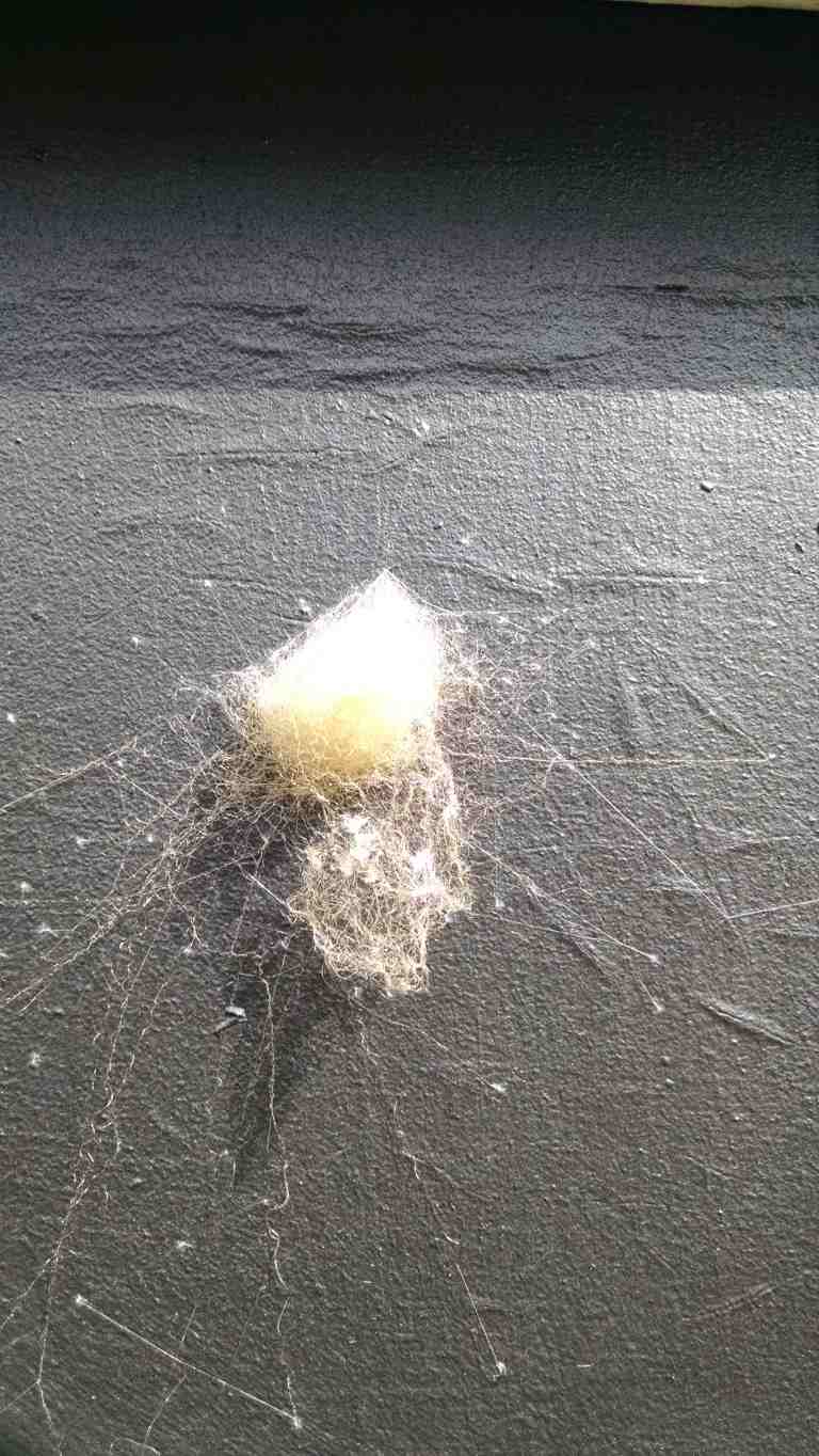 05_2015-10-04 14.48.14_lr