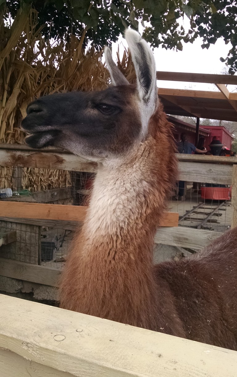 05_2015-10-17 11.52.36_crop_lr