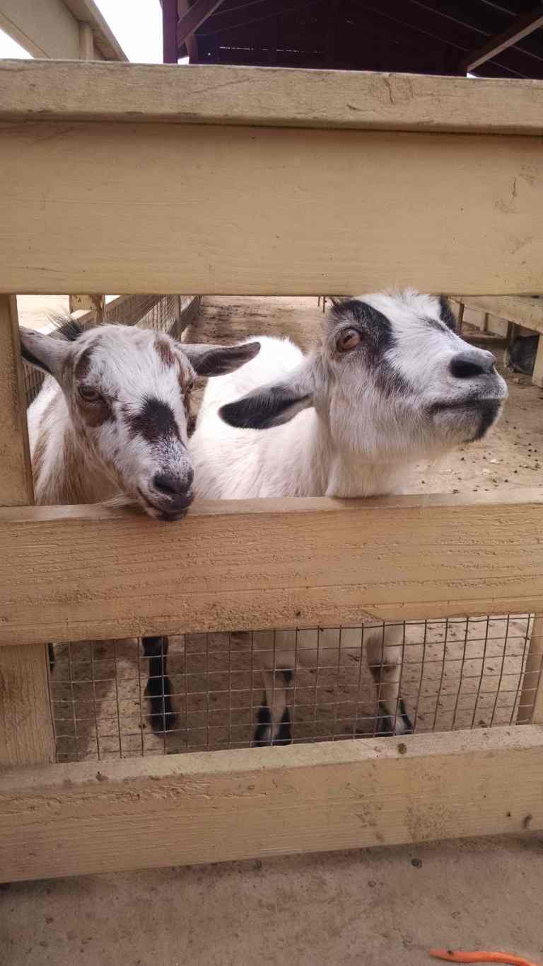 06_2015-10-17 12.55.01_lr