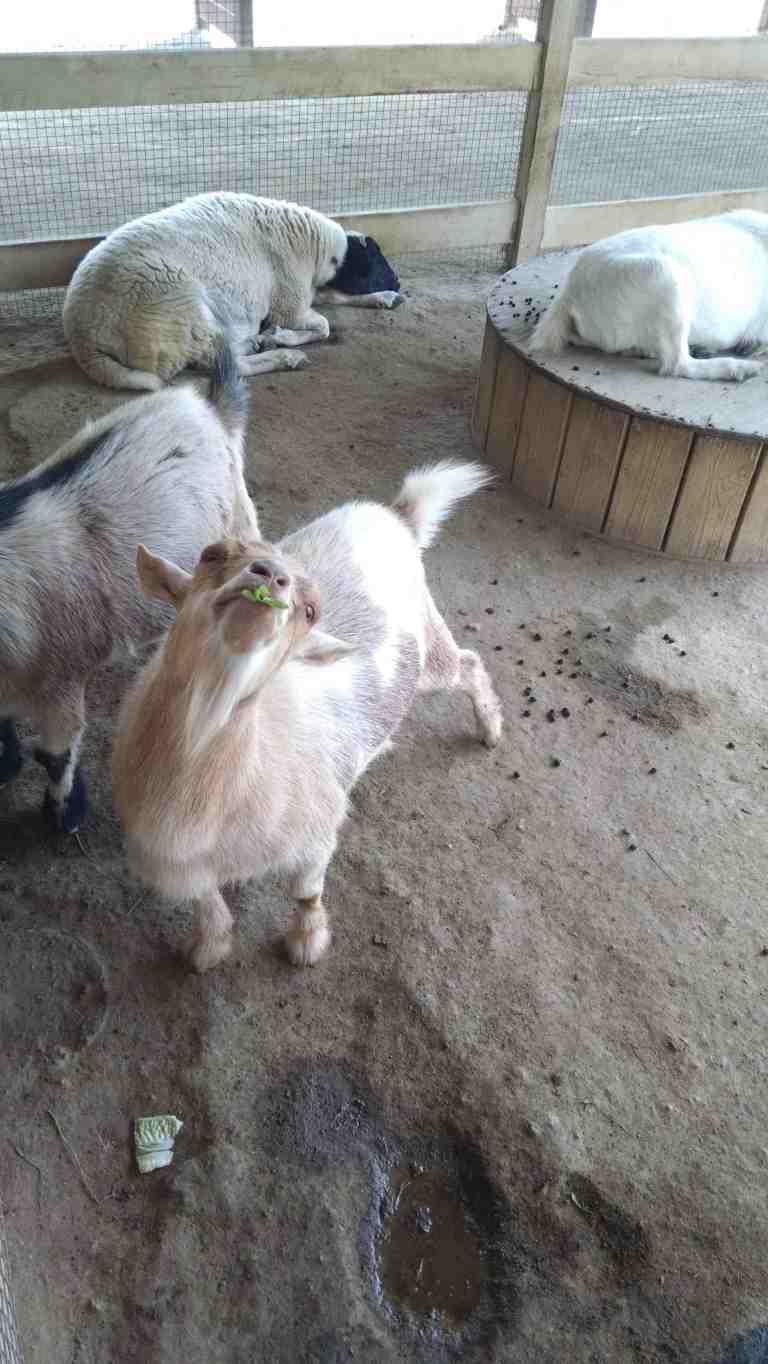 07_2015-10-17 12.58.15-2_lr