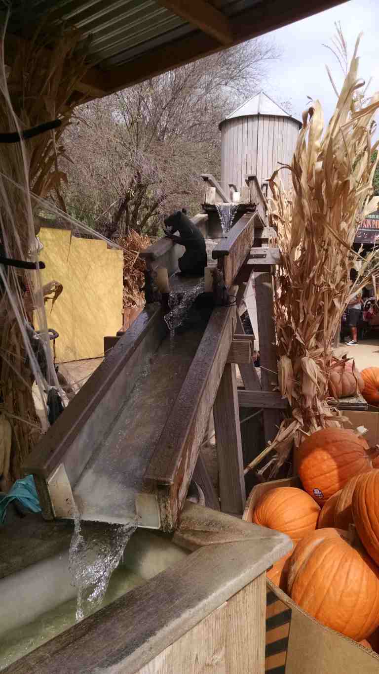 08_2015-10-17 13.04.38_lr