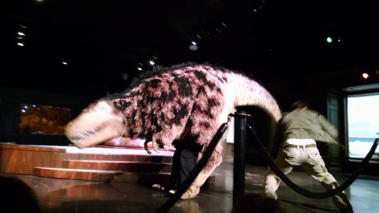 09_2015-10-04 13.40.30_lr