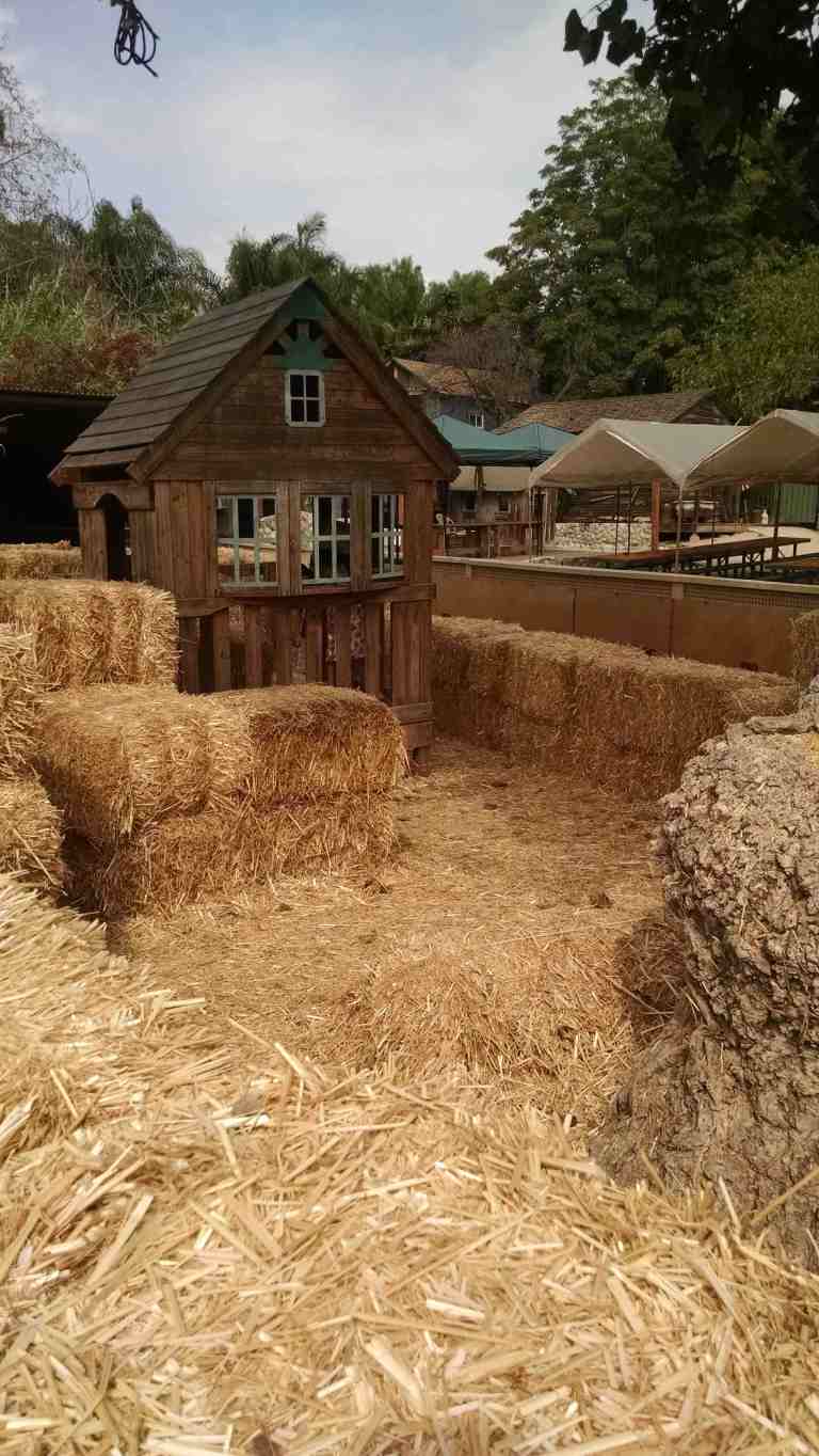 10_2015-10-17 13.23.00_lr