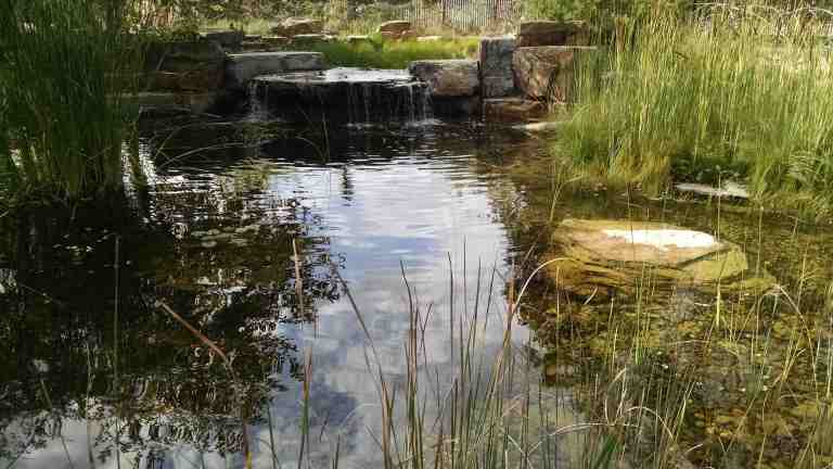 11_2015-10-04 15.50.50_lr